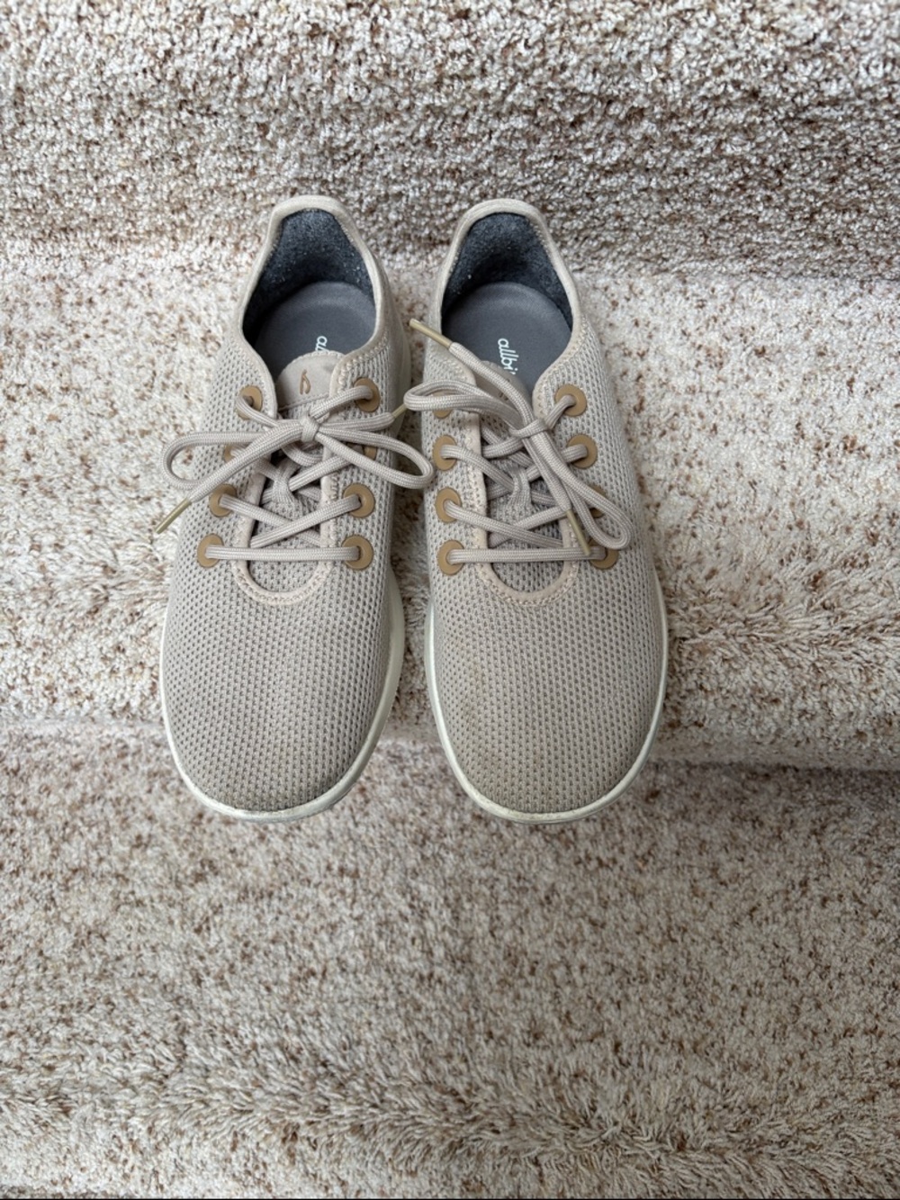 Allbirds Tree Runners